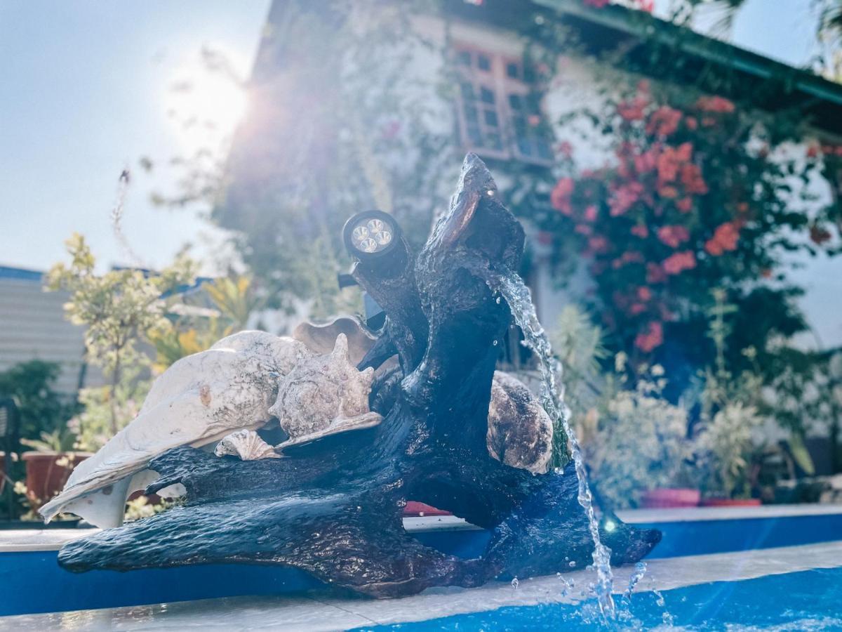 Cool Breeze Authentic Hotel Labuan Bajo Komodo Екстер'єр фото